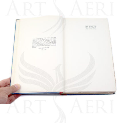 THE VOICE ON THE MOUNTAIN